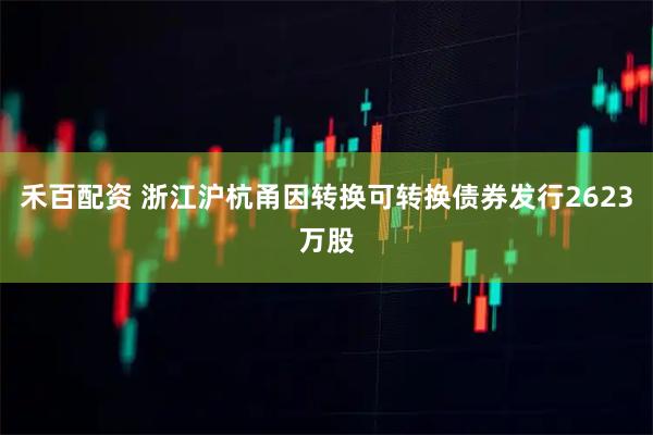 禾百配资 浙江沪杭甬因转换可转换债券发行2623万股